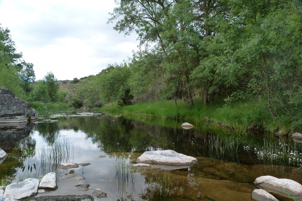 arroyo-del-pison-en-pinilla