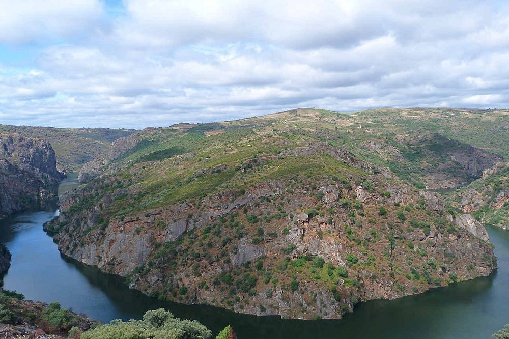 meandro-del-duero-cerca