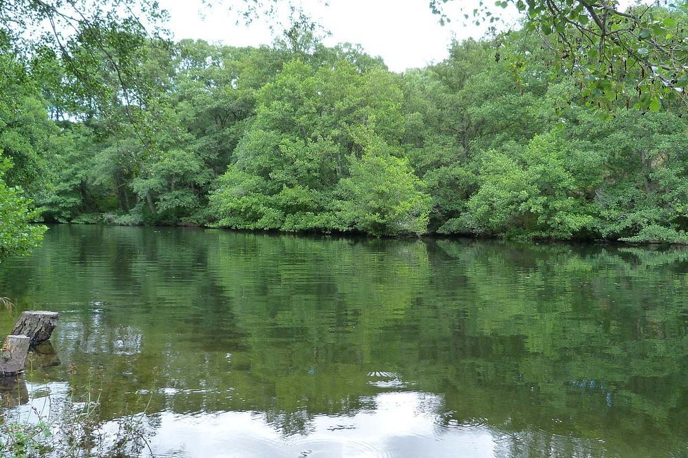 rio-tormes-junto-al-puente